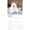 BrownTrout; Samoyeds | 2027 12 x 24 Inch (Hanging) Monthly Square Wall Calendar | Plastic-Free; Category:Wall Calendars; Image:4